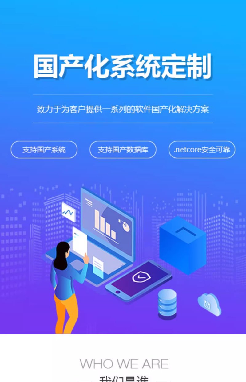 系统开发定制:企业信息化升级的明智选择